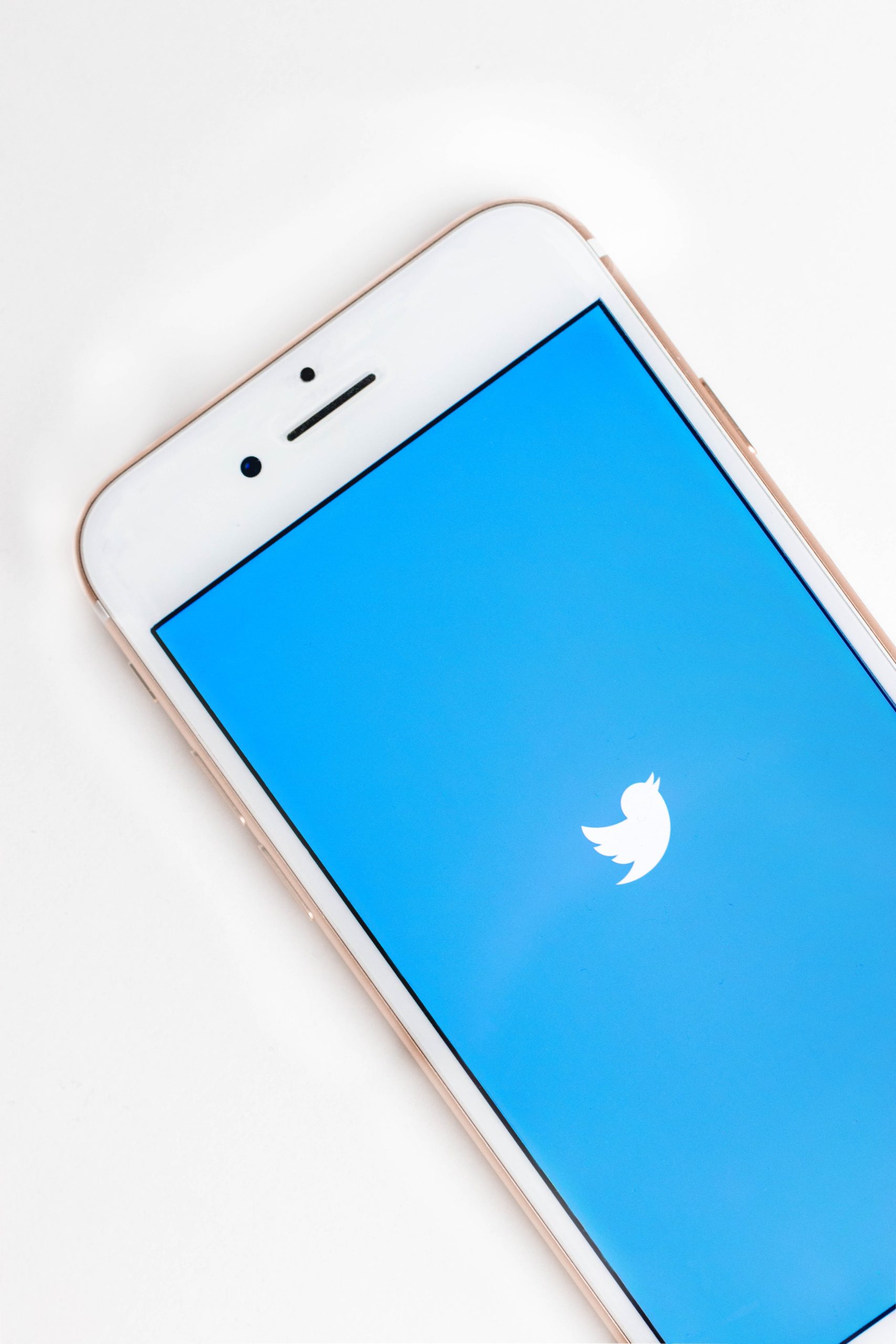 white phone with a blue screen and the white titter bird logo